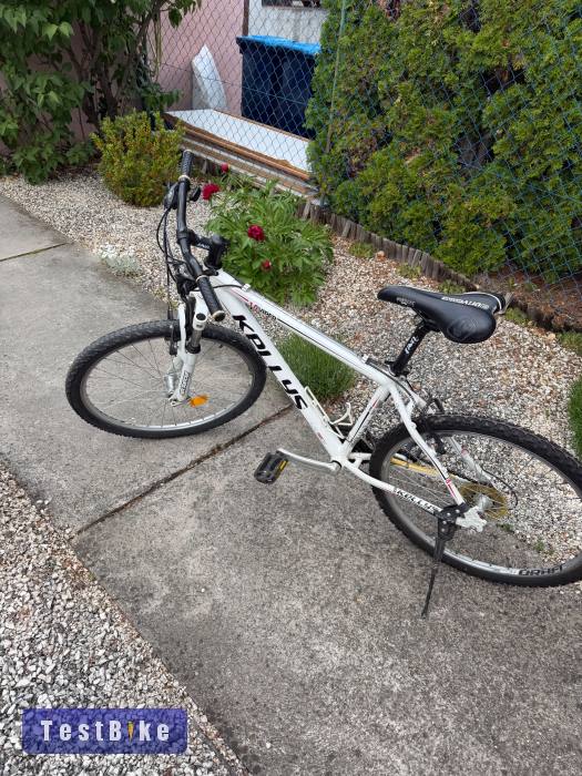 Eladó Kellys viper 1.0 mountain bike