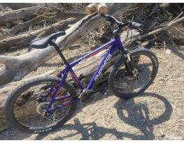 Eladó Muddyfox Anarchy 400 MTB 