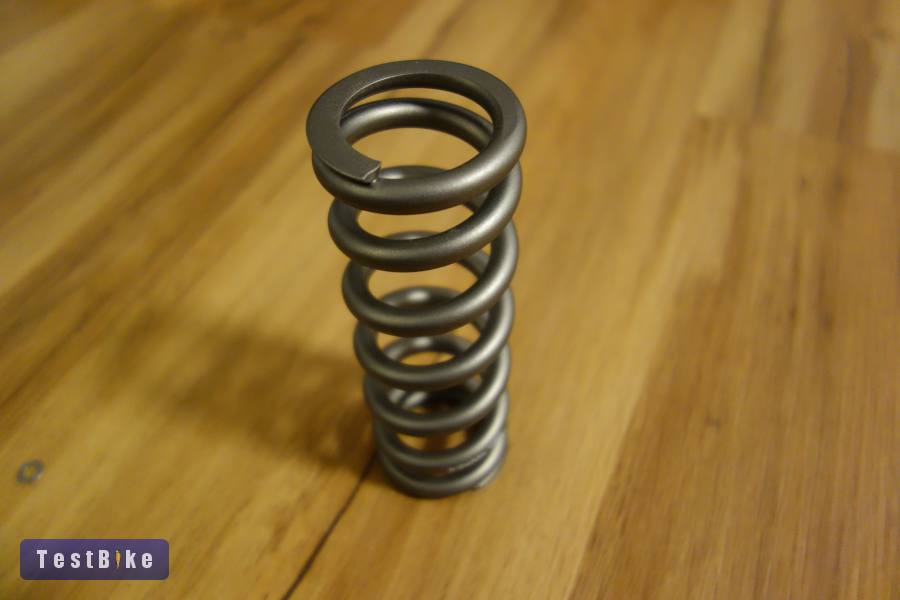 Fast Suspension ICHU XLS 3" 450 lbs rugó