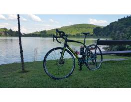 Felt Z75 Disc