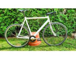 Fixi / Single Speed