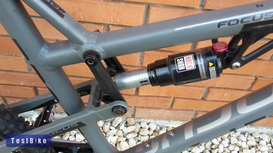 Focus BIG BUD 120 / Rock Shox Reba 120                          