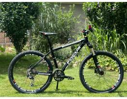 Focus Black Forest "M"  