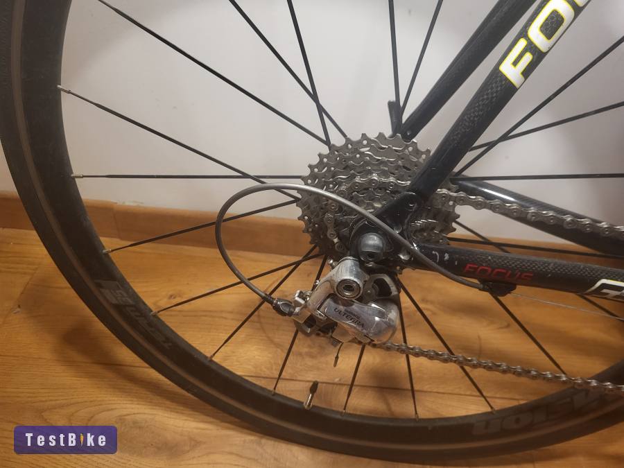 Focus carbon orazagúti