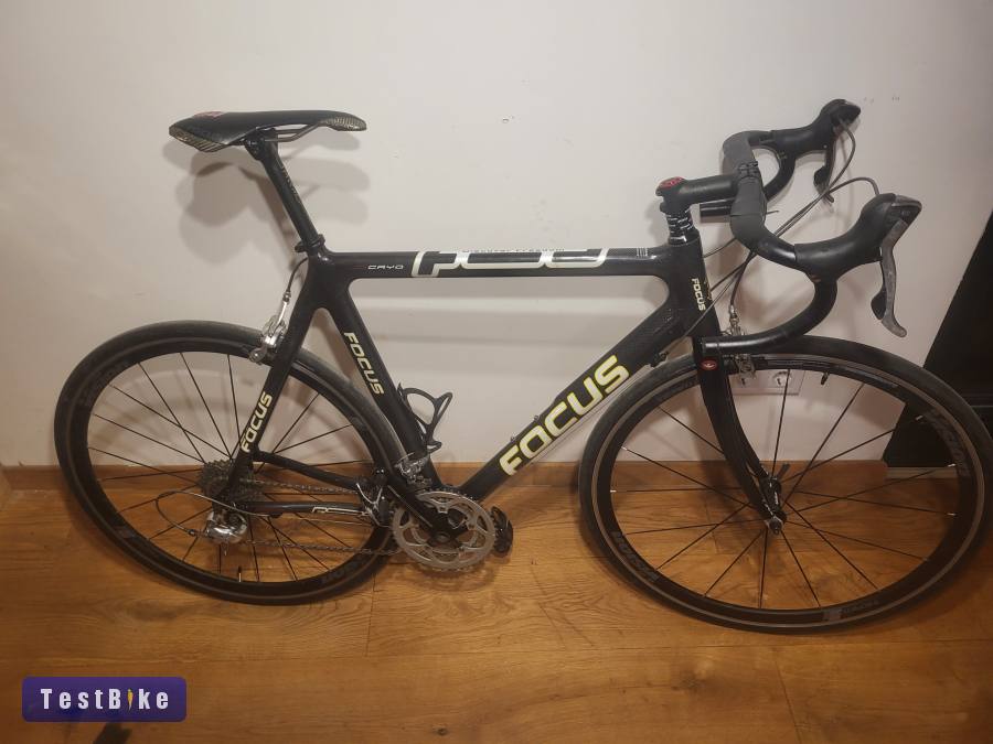 Focus carbon orazagúti