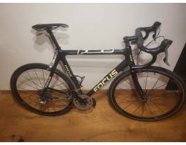 Focus carbon orazagúti