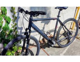 Focus Cariboo Peak 28"