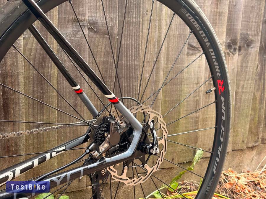 Focus Cayo 2x11 Carbon Ultegra 54cm