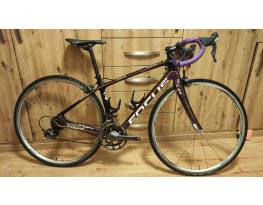 Focus Izalco Donna