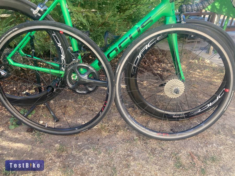 Focus Izalco Race M-es karbon országúti kerékpár
