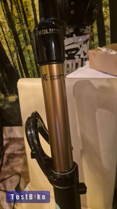 Fox 36 Factory 29" 160mm