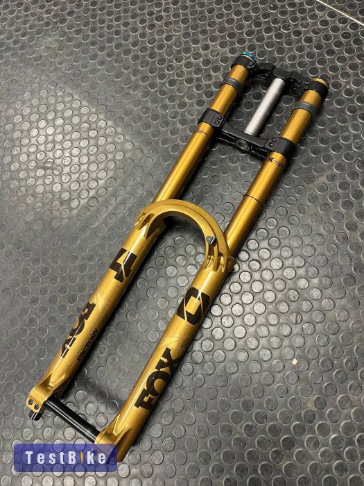 Fox 40 Podium Gold Grip X2 - 29"
