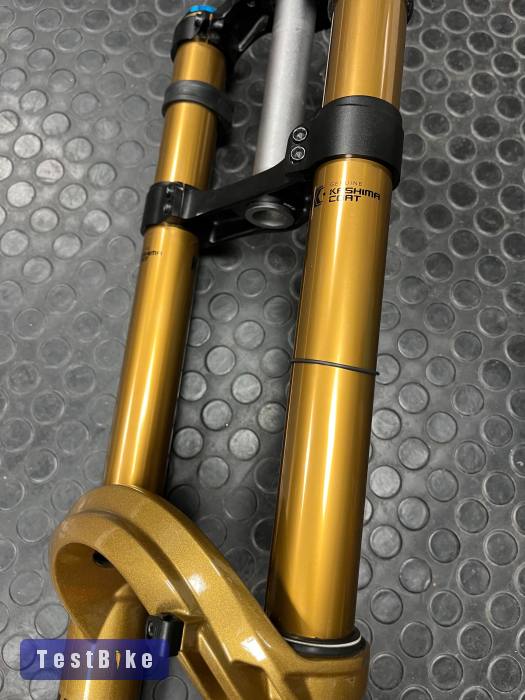 Fox 40 Podium Gold Grip X2 - 29"