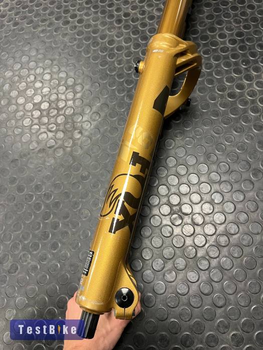 Fox 40 Podium Gold Grip X2 - 29"