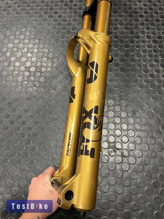 Fox 40 Podium Gold Grip X2 - 29"