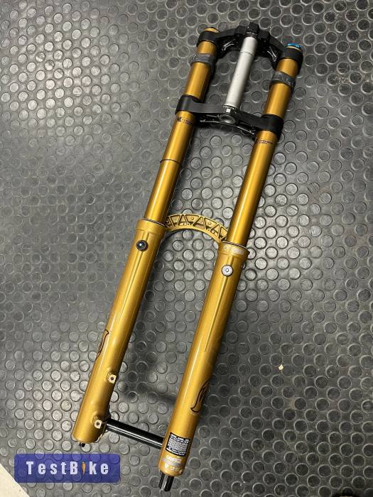Fox 40 Podium Gold Grip X2 - 29"
