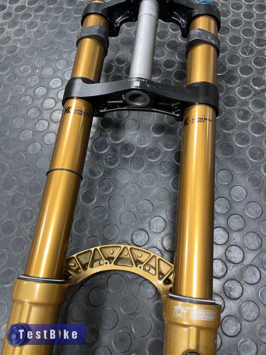 Fox 40 Podium Gold Grip X2 - 29"