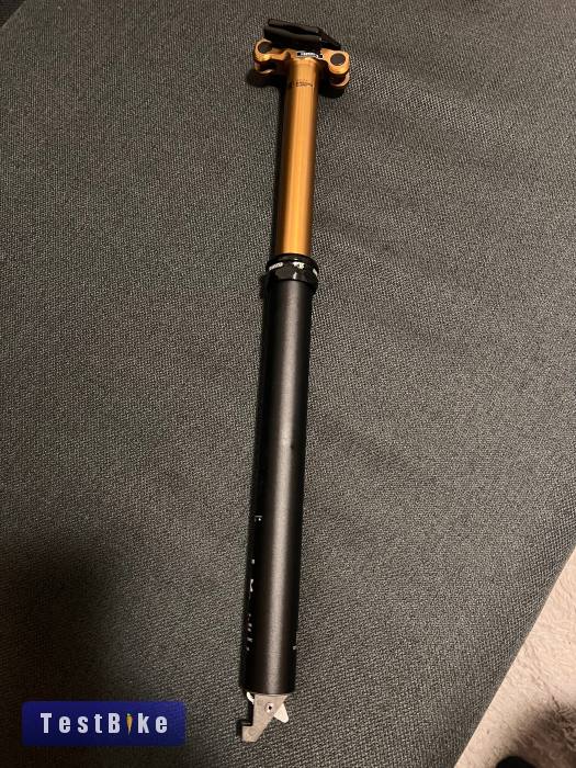 Fox transfer kashima