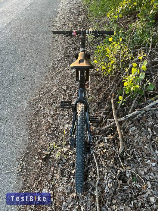 Fuji MT LE carbon