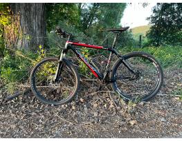 Fuji MT LE carbon