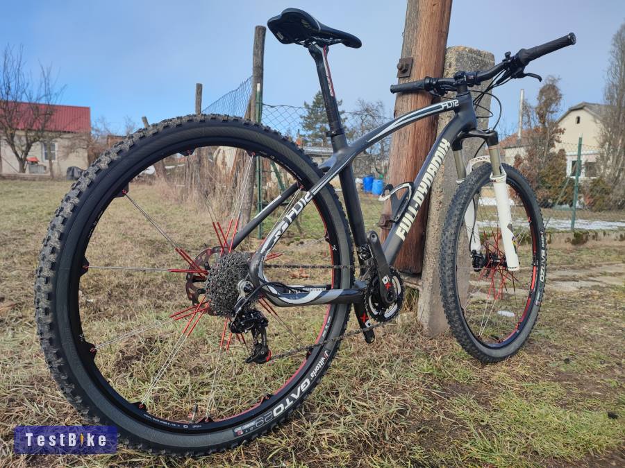 Full Dynamics 29er carbon MTB 