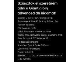 Gaint Glory Advanced DH