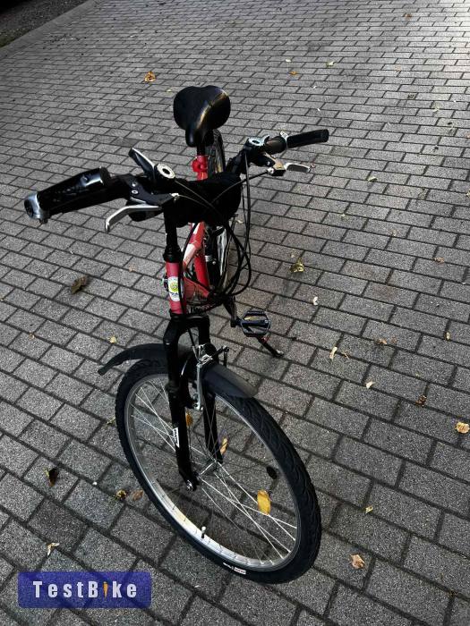 Galaxy Rózsaszín univerzális mountain bike