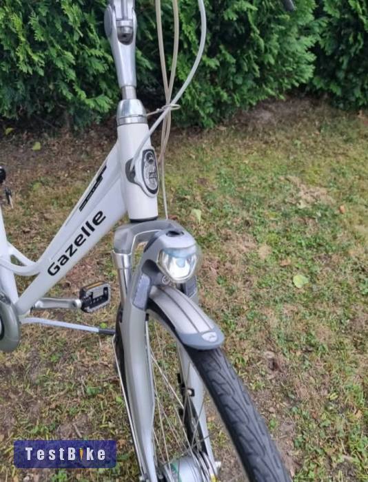 Gazelle Style Soupple Cadiz