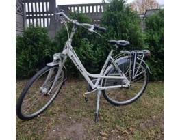 Gazelle Style Soupple Cadiz