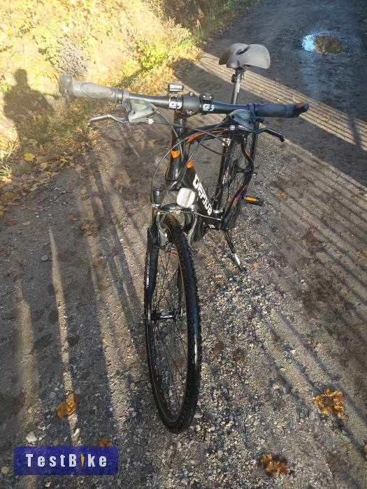 Gepida alboin 300 crs