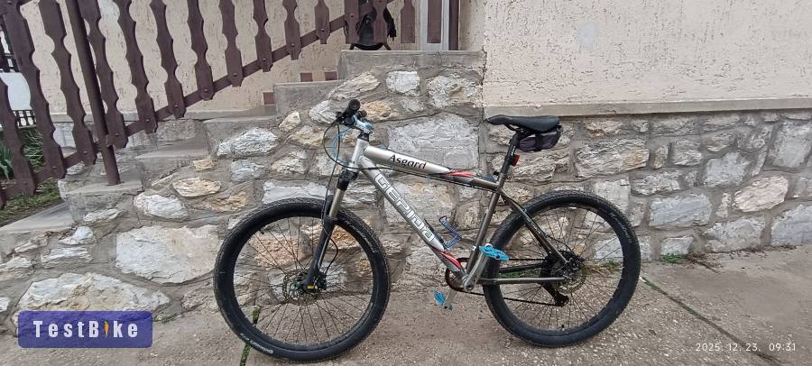 Gepida Asgard Pro 27,5