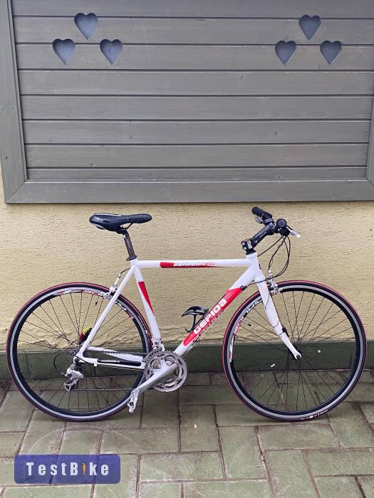 Gepida Bandon 930