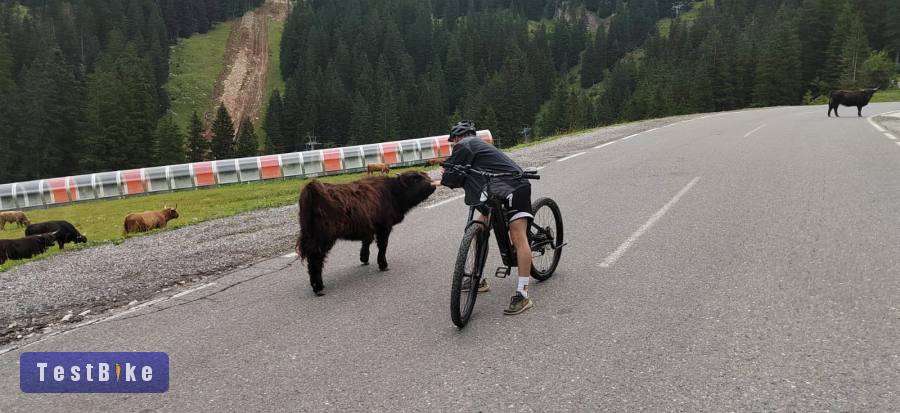 Ghost E-riot L Trail Al