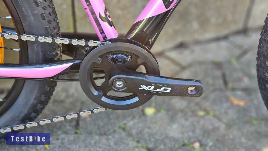 Ghost Lanao 20" Full Party Fekete-pink