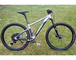 Ghost Nirvana Tour 29"