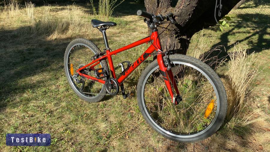 Giant ARX 24"