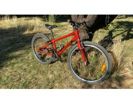 Giant ARX 24"