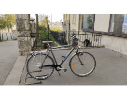 Giant Camaron Shimano Nexus agyvàltos 7 XL 60 cm alu váz 