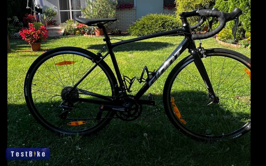 Giant contend 3 2022 - M