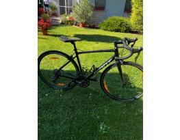 Giant contend 3 2022 - M