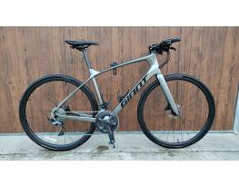 Giant Fastroad Advanced (Karbon fitness)