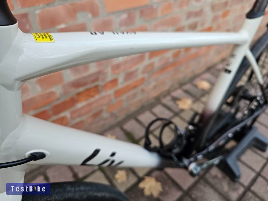 (Giant) Liv Avail AR 2 Gravel 2x10 Tiagra L (55-52 cm)