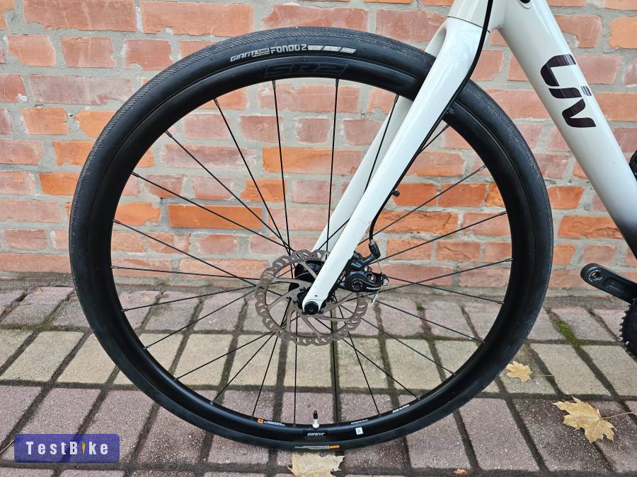 (Giant) Liv Avail AR 2 Gravel 2x10 Tiagra L (55-52 cm)