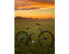 giant reign 2016 “m”