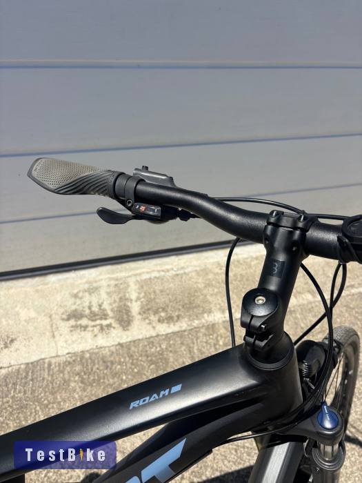 Giant Roam EX (2022) cross-trekking 