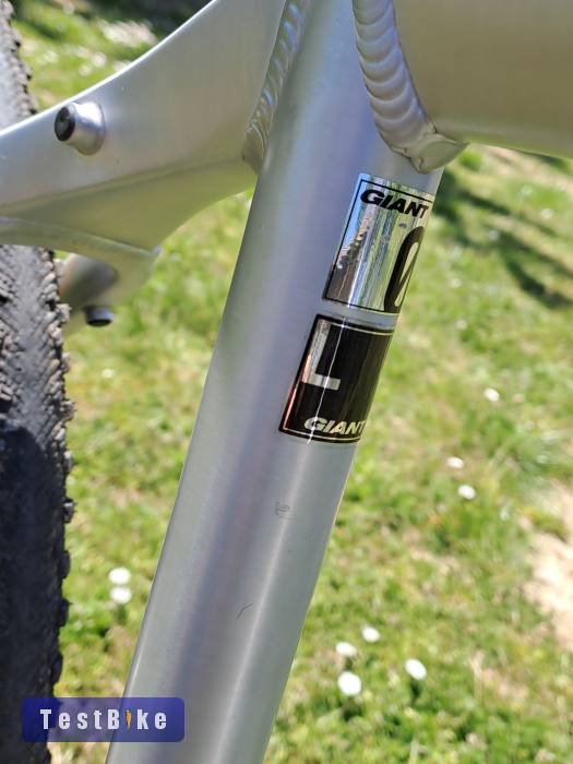 Giant Roam XR