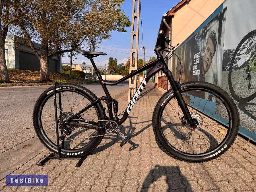 Giant Stance 29 1