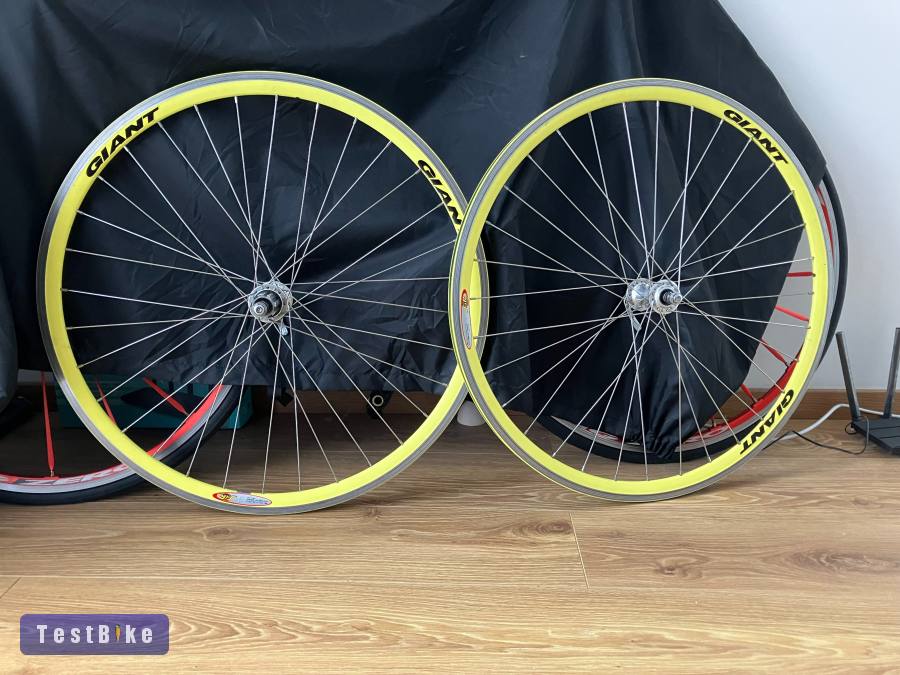 Giant TCR Once Team