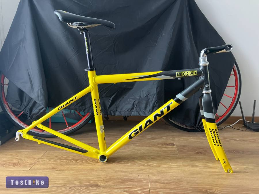 Giant TCR Once Team