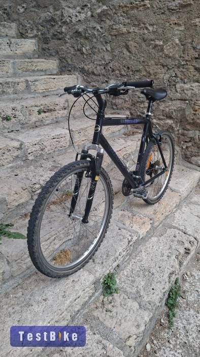 Giant terrago retro mtb kerékpár